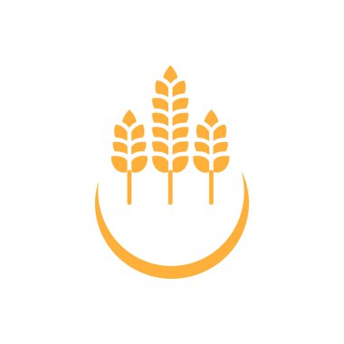 Buğday ya da arpa kulağı. Buğday hasadı, pirinç sapı ve tam ekmek tanecikleri veya tarla tahıllı çavdar tohumu Kulak sembolü.