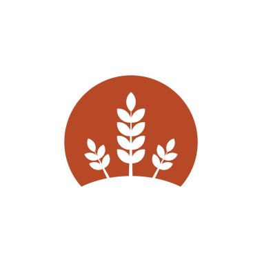 Buğday ya da arpa kulağı. Buğday hasadı, pirinç sapı ve tam ekmek tanecikleri veya tarla tahıllı çavdar tohumu Kulak sembolü.