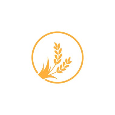 Buğday ya da arpa kulağı. Buğday hasadı, pirinç sapı ve tam ekmek tanecikleri veya tarla tahıllı çavdar tohumu Kulak sembolü.