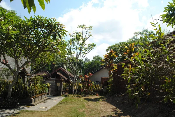 Trotoar Mengarah Rumah Dengan Tanaman Frangipani Kebun Tropis Pulau Bali — Stok Foto