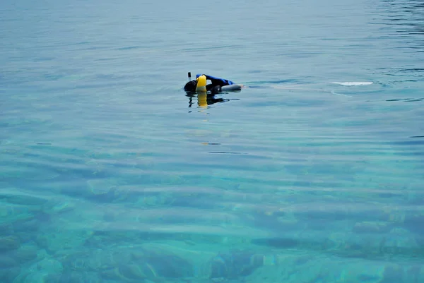 Snorkeling Tropical Ocean Water Seribu Island Jakarta — Stock Photo, Image