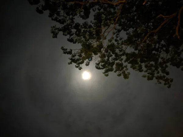 Beautiful Picture Eye See Moon Poya Day — стоковое фото