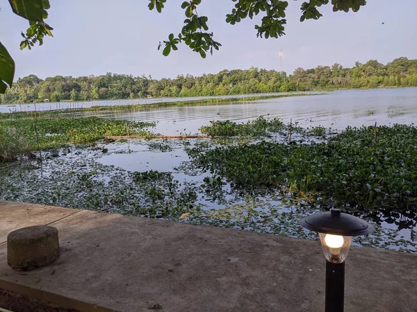 Esta Una Fotografía Naturaleza Con Lago Bolgoda Sri Lanka — Foto de Stock