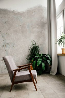 İç mekanda tasarımcı koltukları