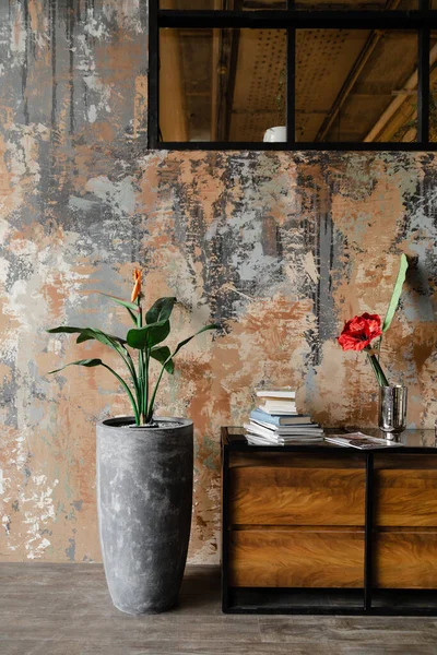 コンクリート テクスチャ テクスチャの背景に鍋に緑の植物 アート石膏汚れの錆びた壁 ストック写真