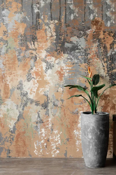 コンクリート テクスチャ テクスチャの背景に鍋に緑の植物 アート石膏汚れの錆びた壁 ロイヤリティフリーのストック写真