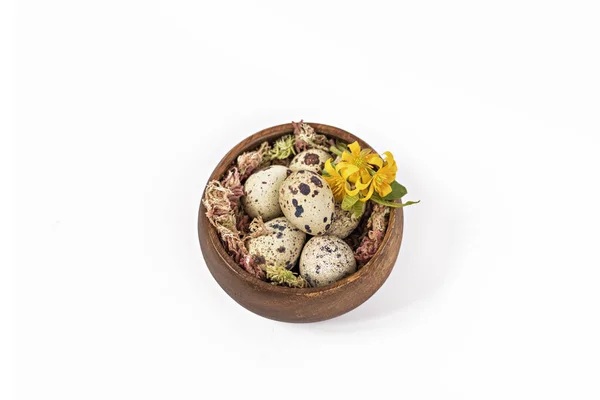 Easter Quail Eggs Wooden Bowl Yellow Flowers White Background Catholic Royalty Free Stock Images