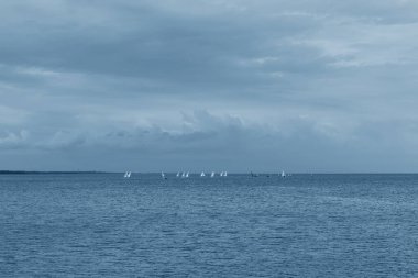 Finlandiya Körfezi kıyıları klasik maviyle. Ufuktaki ada ve yelkenliler klasik maviyle