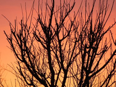  Güzel gün batımı, güzel turuncu gökyüzü