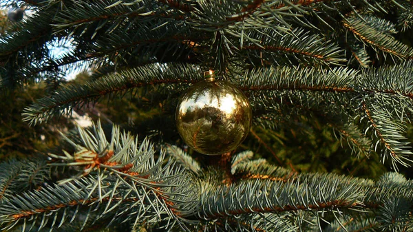 Decoración Navidad Árbol Navidad — Foto de Stock