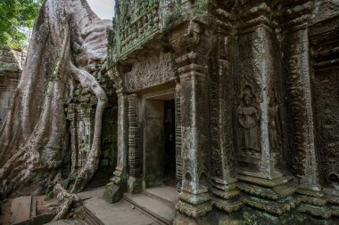 Angkor Wat Tapınağı elementi, Kamboçya