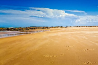 Caloundra Beach'te boş