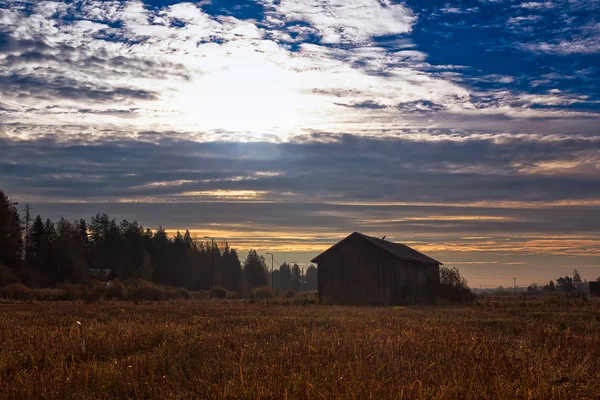 Mattina di autunno sui campi — Foto Stock