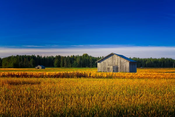 Dwa stare stodoły na polu jesienią — Zdjęcie stockowe