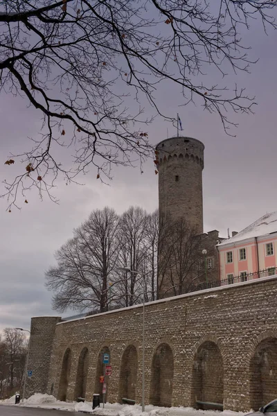 Slottet på Toompea och Pikk Hermann tornet — Stockfoto