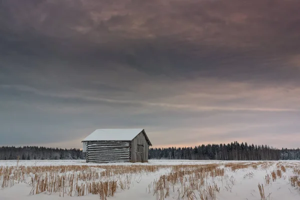 Liten ladugård på snöiga fältet — Stockfoto