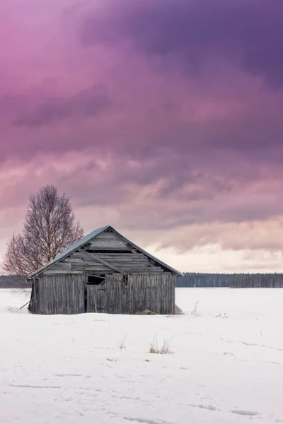 Západ slunce v zimě na polích — Stock fotografie
