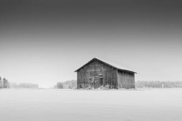 Frost eski ahır duvarlara — Stok fotoğraf