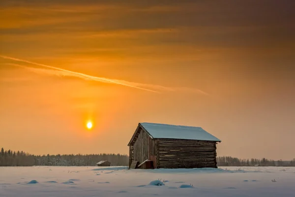 Chladné zimní slunce — Stock fotografie