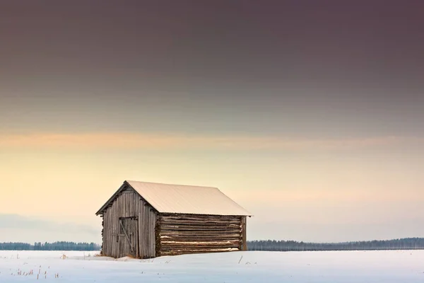 Mañana de invierno en los campos —  Fotos de Stock