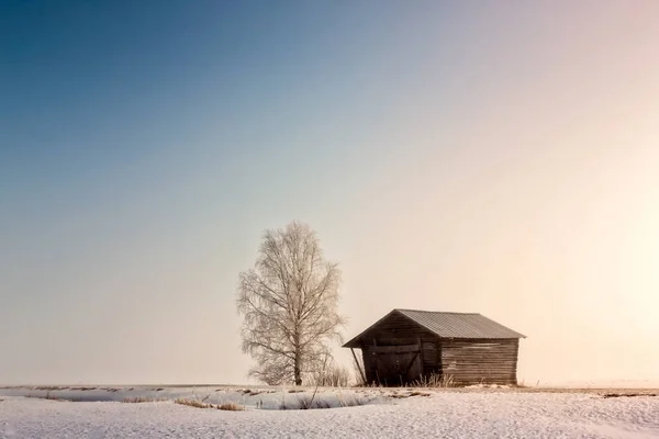 Ahır ve Birch bahar gökyüzü altında