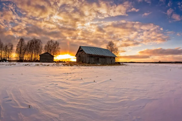 Fienili e alberi al tramonto — Foto Stock