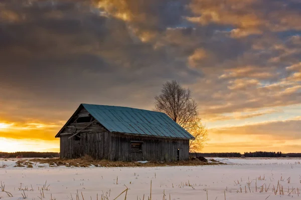 Sunset bulvarında karlı alanları