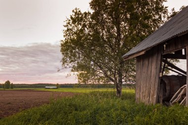 Alanları nightless gecesi