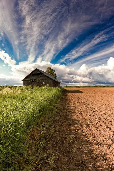 Antiguo granero en el borde de los campos — Foto de Stock