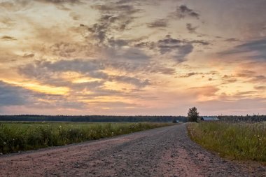 Çakıl yol yaz günbatımında