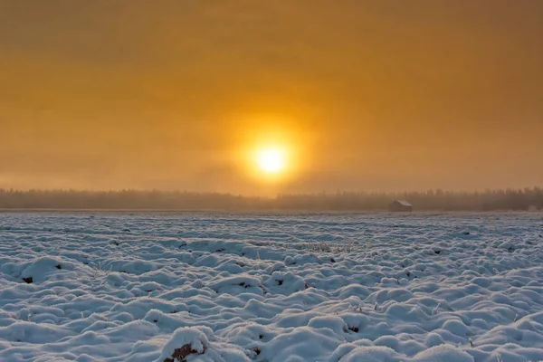 Snowy pola w zimowy wschód słońca — Zdjęcie stockowe