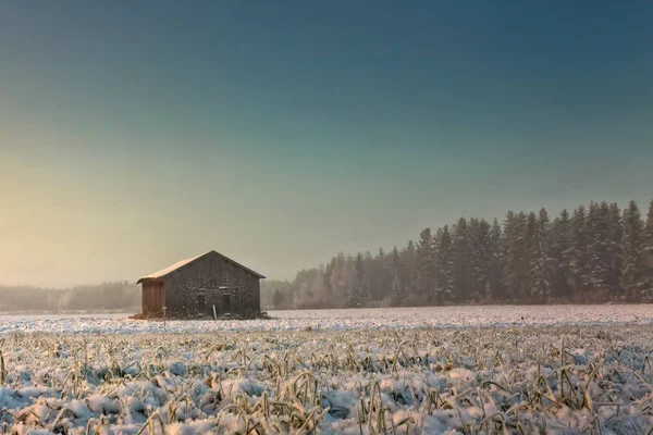 Rano na Snowy pola — Zdjęcie stockowe