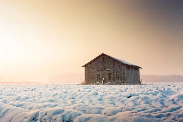 Východ slunce a mlha nad zasněžené pole — Stock fotografie