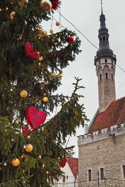 タリンの市庁舎広場のクリスマス ツリー — ストック写真
