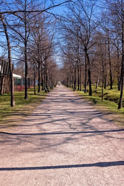 Sendero largo en el parque — Foto de Stock