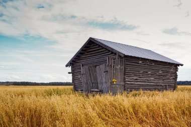Barn House alanların ortasında