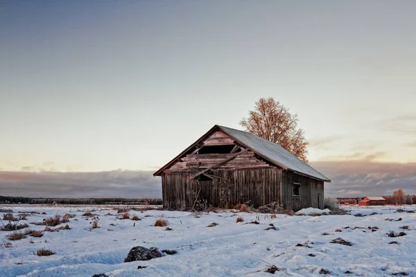 Opuszczony Barn House w początku zachód słońca zima — Zdjęcie stockowe