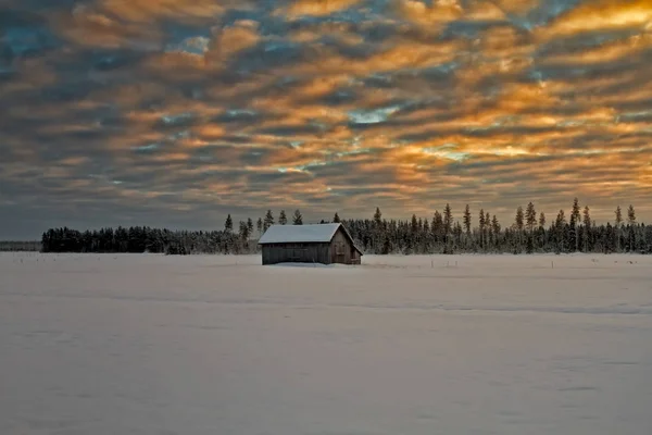 Zimny wieczór na polach — Zdjęcie stockowe