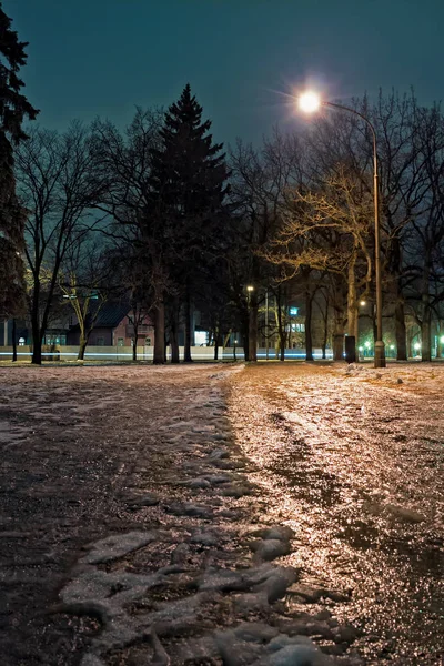 Icy Path At The Park
