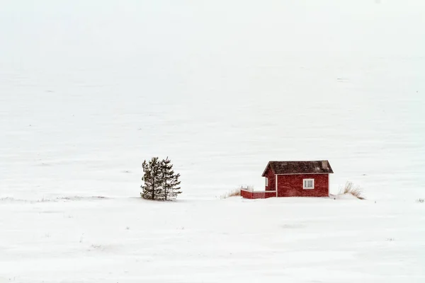 Pequena cabana vermelha em uma tempestade de neve — Fotografia de Stock