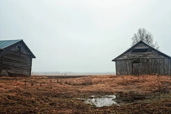 Two Old Barn Houses On The Rainy Fields — Stock Photo, Image