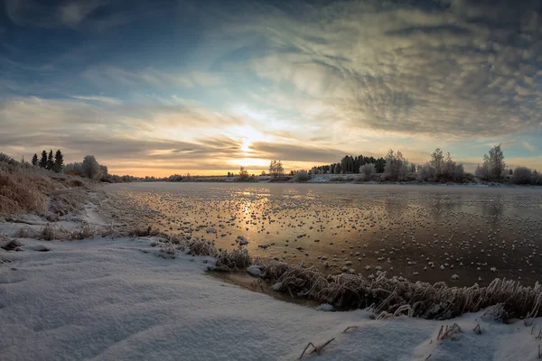 Frostiges Flussufer — Stockfoto