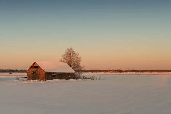 Sole Invernale Sorge Colora Splendidamente Paesaggio Innevato Della Finlandia Rurale — Foto Stock