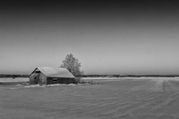 Sole Invernale Sorge Colora Splendidamente Paesaggio Innevato Della Finlandia Rurale — Foto Stock