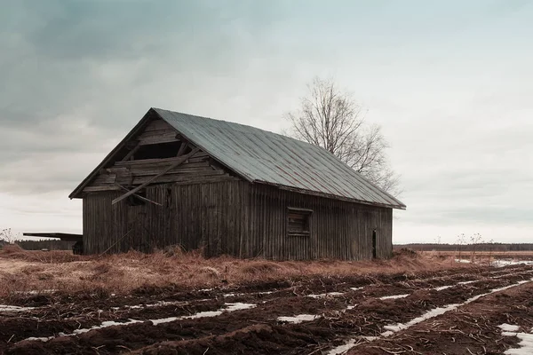 Ein Verlassenes Scheunenhaus Steht Den Feldern Nordfinnland Ende März Liegt — Stockfoto
