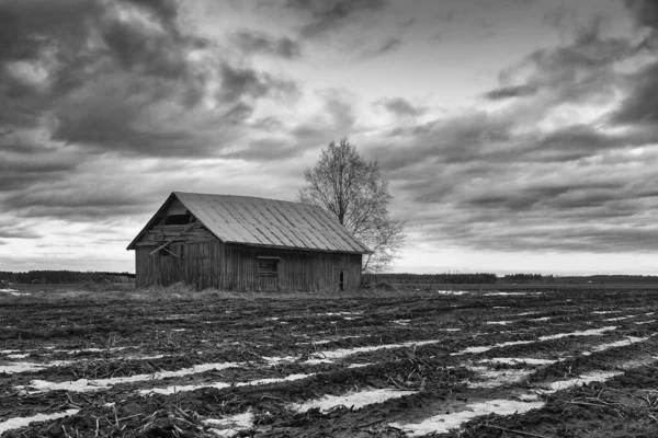 Opuszczona Stodoła Polach Wiejskiej Finlandii Pola Wciąż Mają Trochę Śniegu — Zdjęcie stockowe