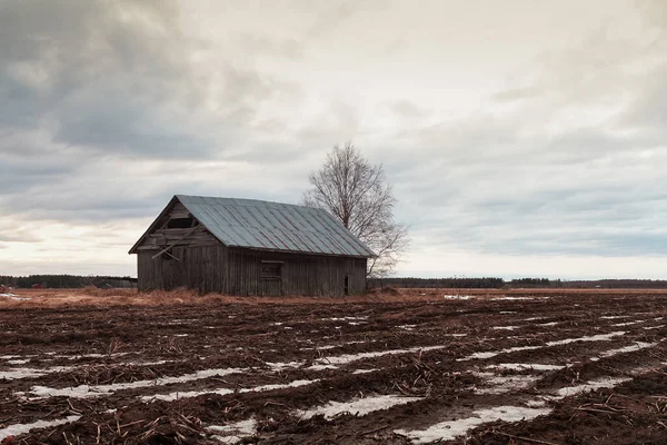 Övergiven Ladugård Landsbygden Finland Fälten Har Lite Snö Kvar — Stockfoto