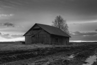 Finlandiya kırsalının ıslak tarlalarında eski bir ahır evi bulunmaktadır. Kar ve buz yavaş yavaş eriyor..