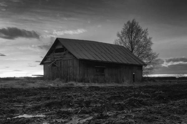 Solen Går Ner Vackert Vårkväll Norra Finland Den Gamla Ladugården — Stockfoto