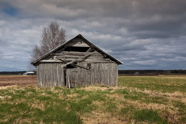 Houten Schuur Huizen Staan Vroege Zomervelden Van Het Platteland Van — Stockfoto